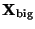 $\mathbf{X}_{\text{big}}$